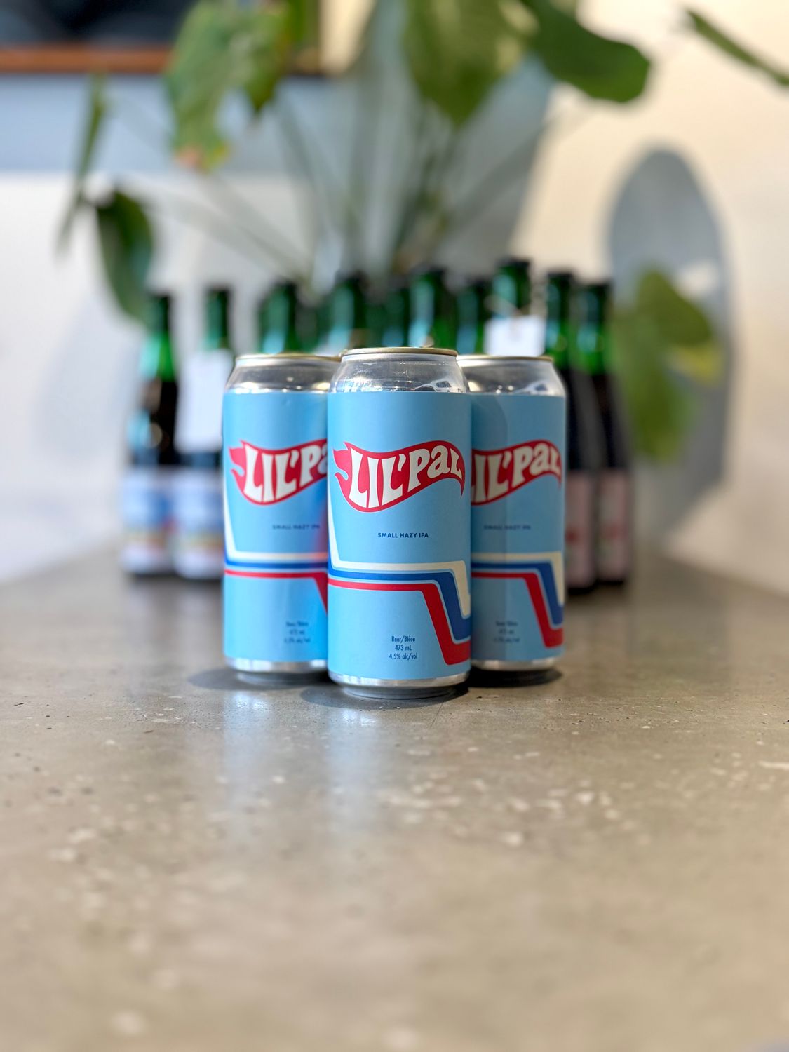 Cabin Lil Pal Small Hazy IPA