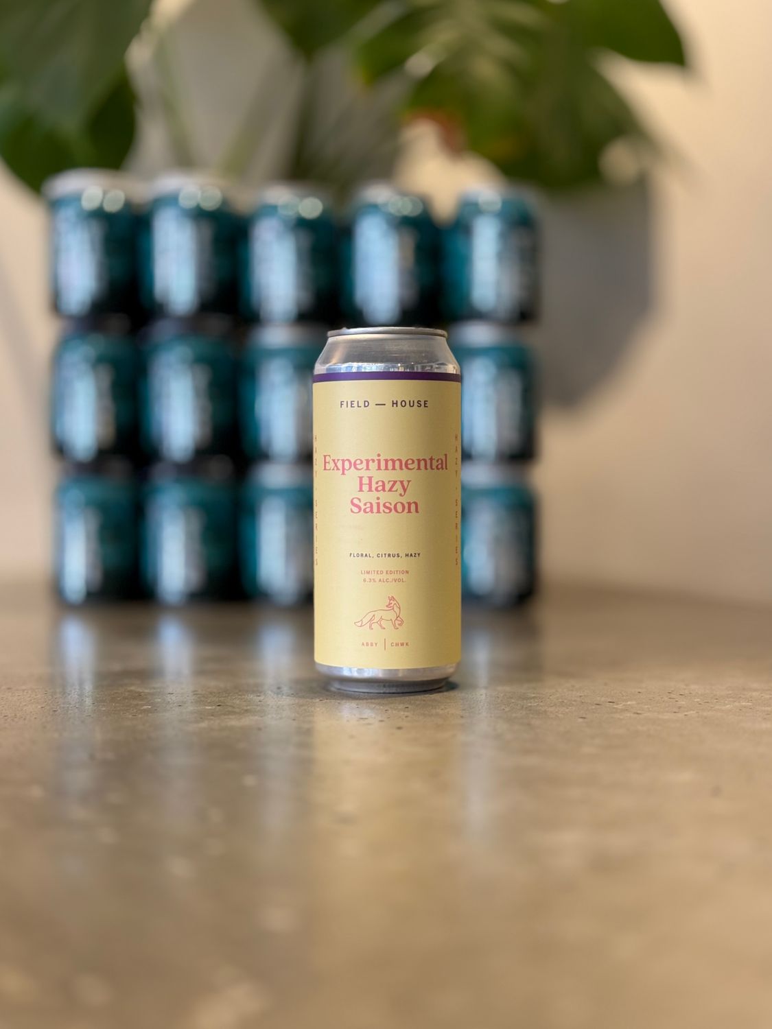 Field House Experimental Hazy Saison