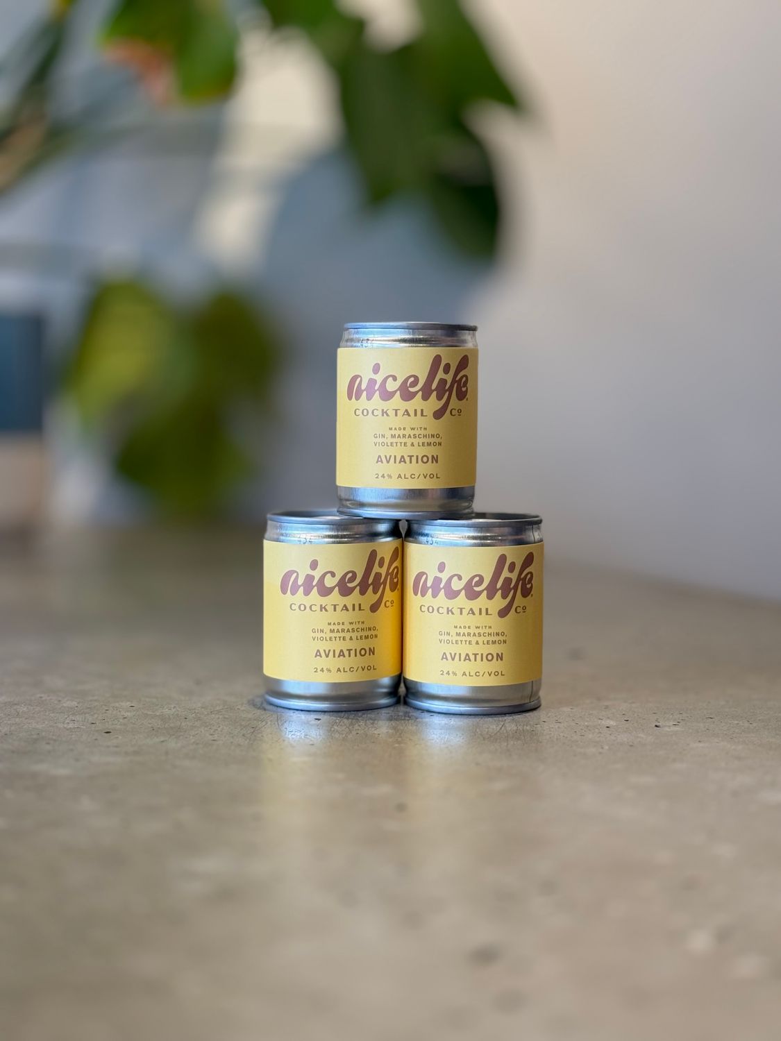 NiceLife Aviation