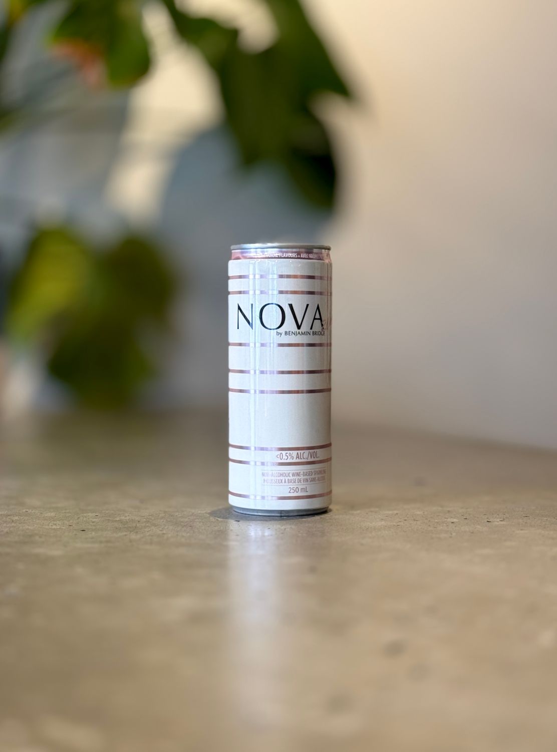 Benjamin Bridge Nova Zero