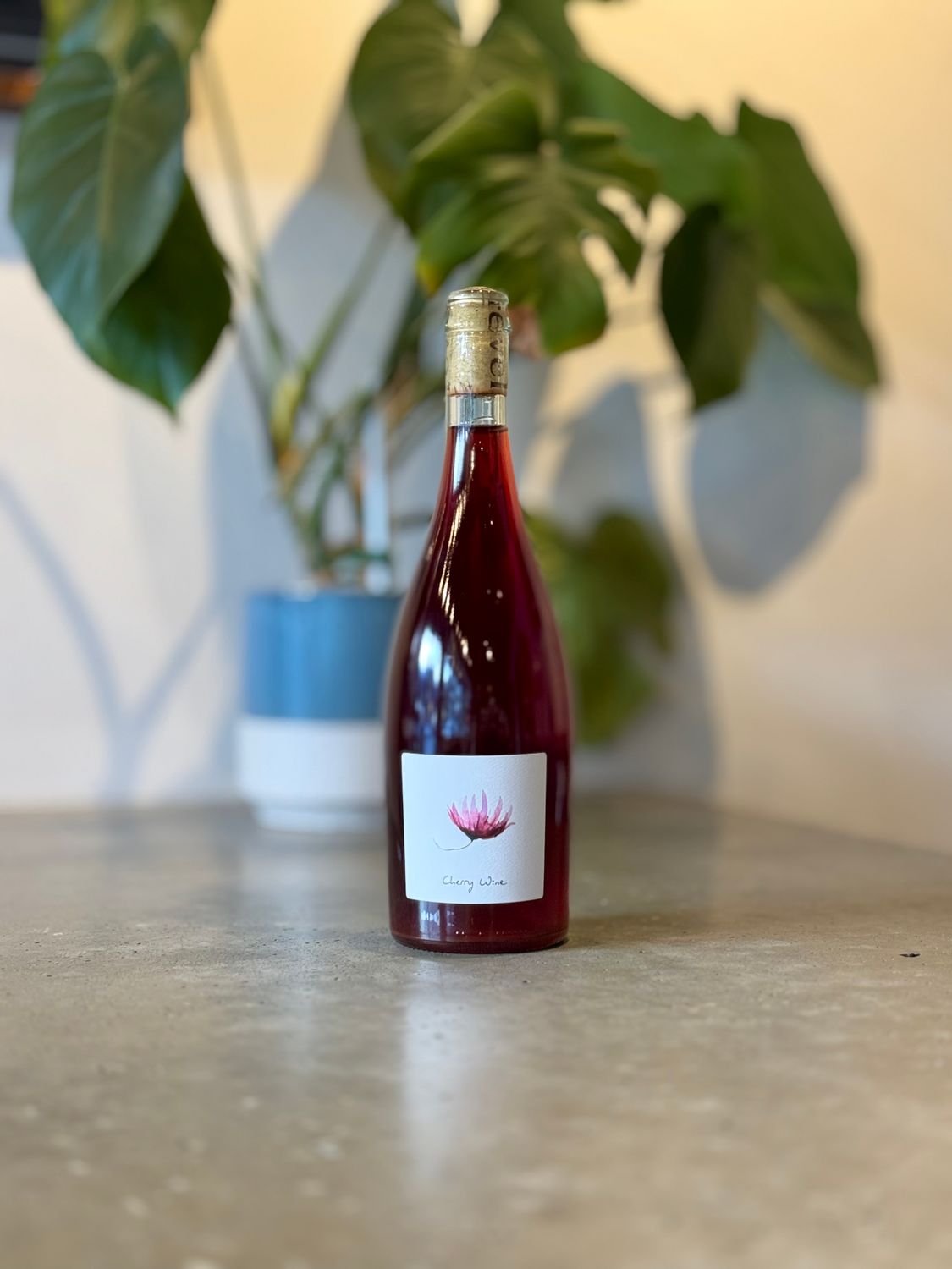 Revel Cider Cherry Wine