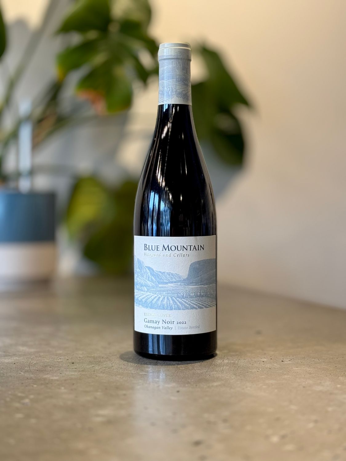 Blue Mountain Gamay Noir