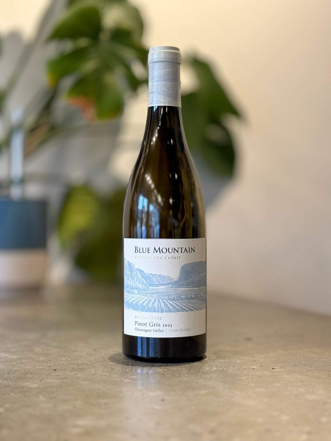 Blue Mountain Pinot Gris