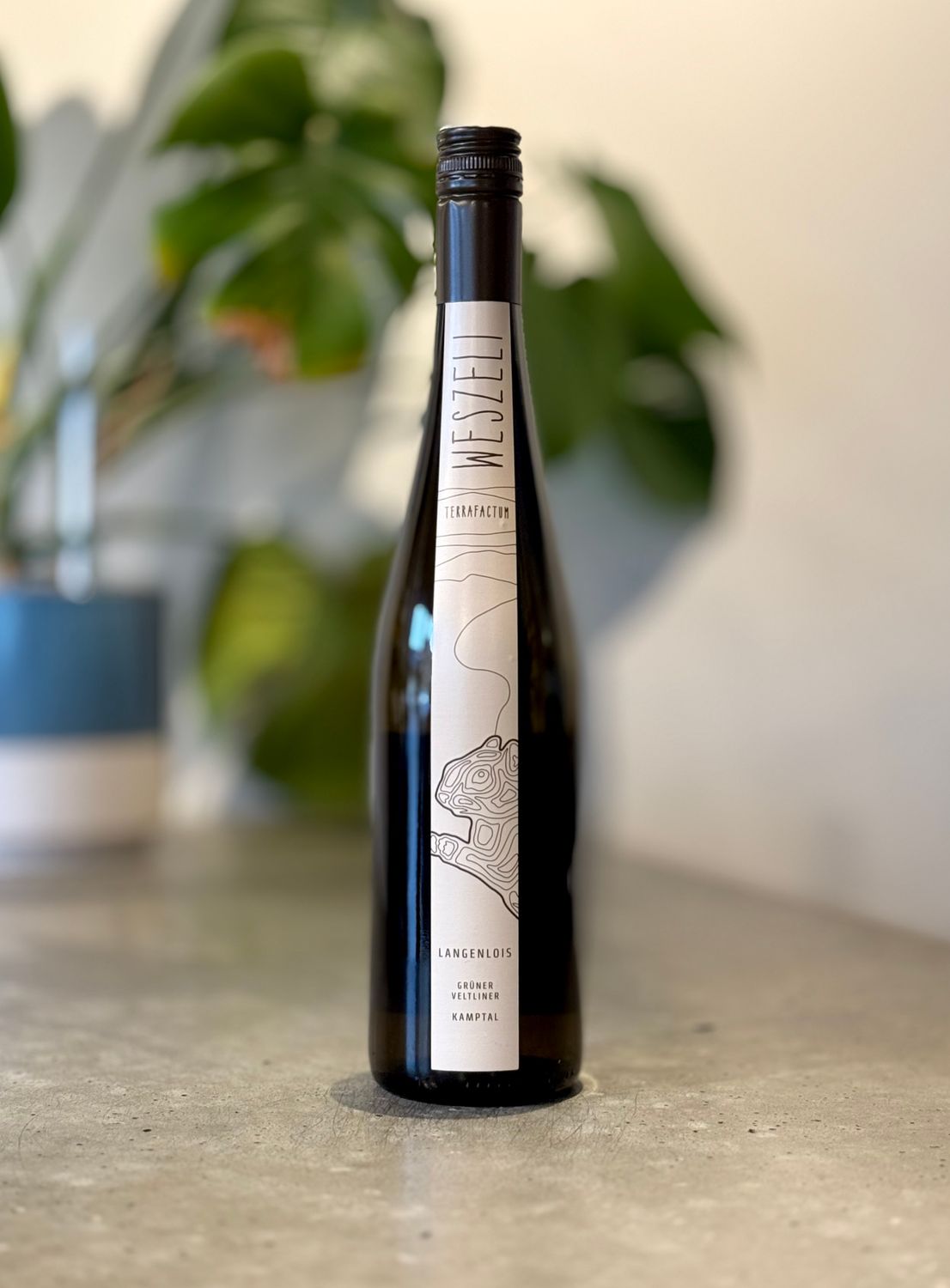 Weszeli Langenlois Gruner Veltliner