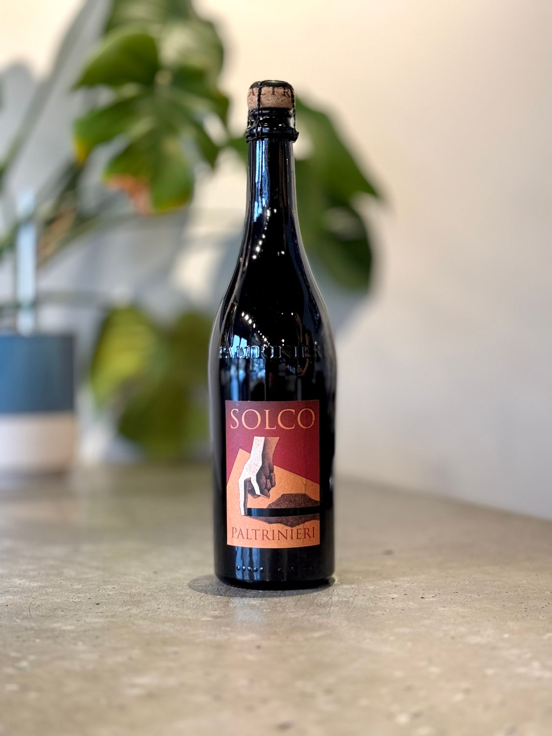 Paltrinieri Lambrusco Solco