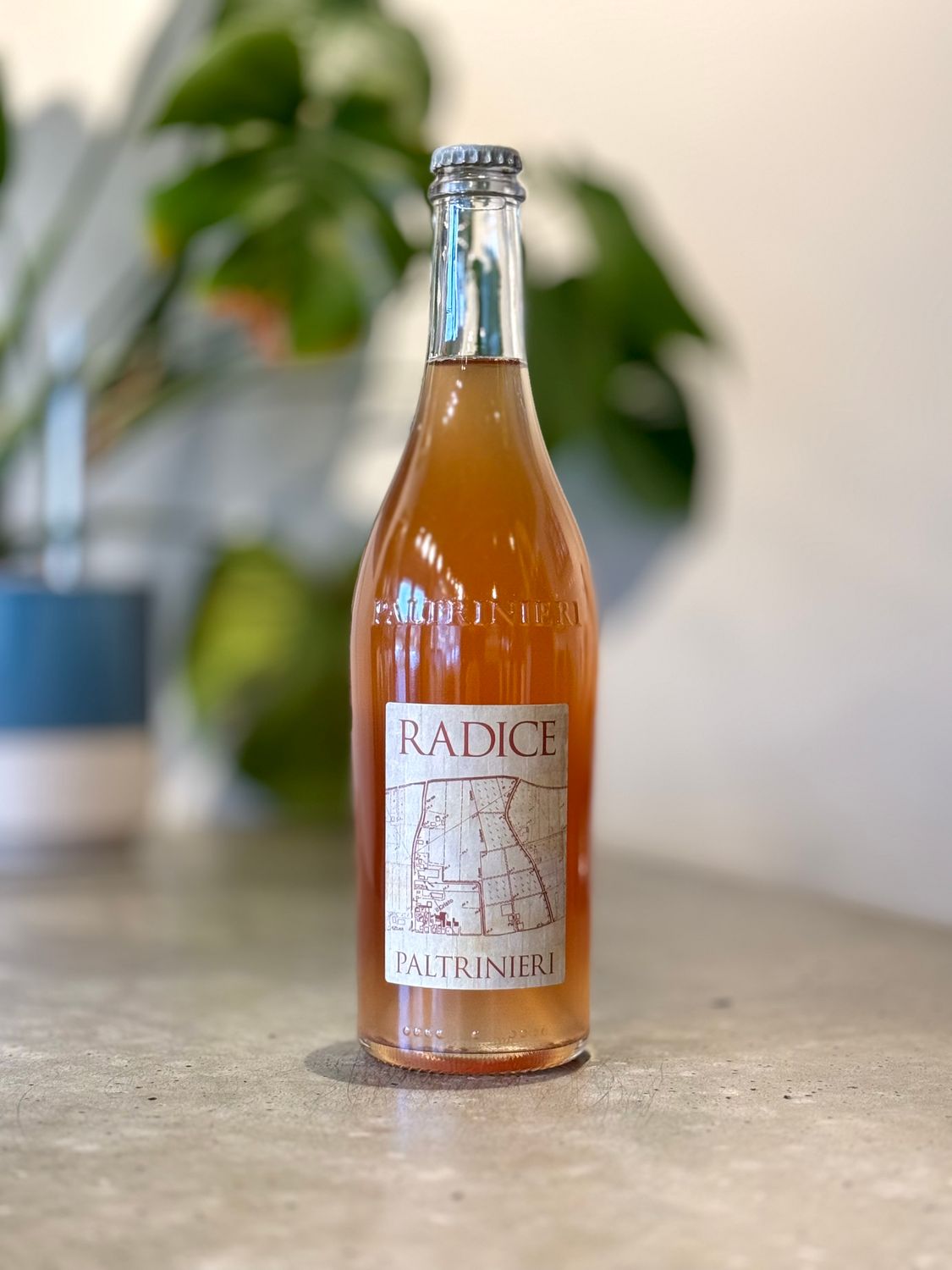 Paltrinieri Radice Lambrusco