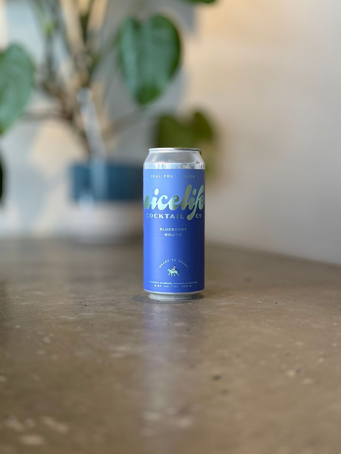 Nicelife Blueberry Mojito