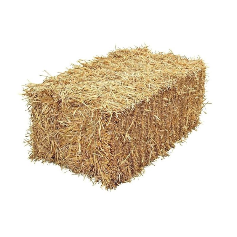 Straw