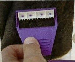Horse Shave