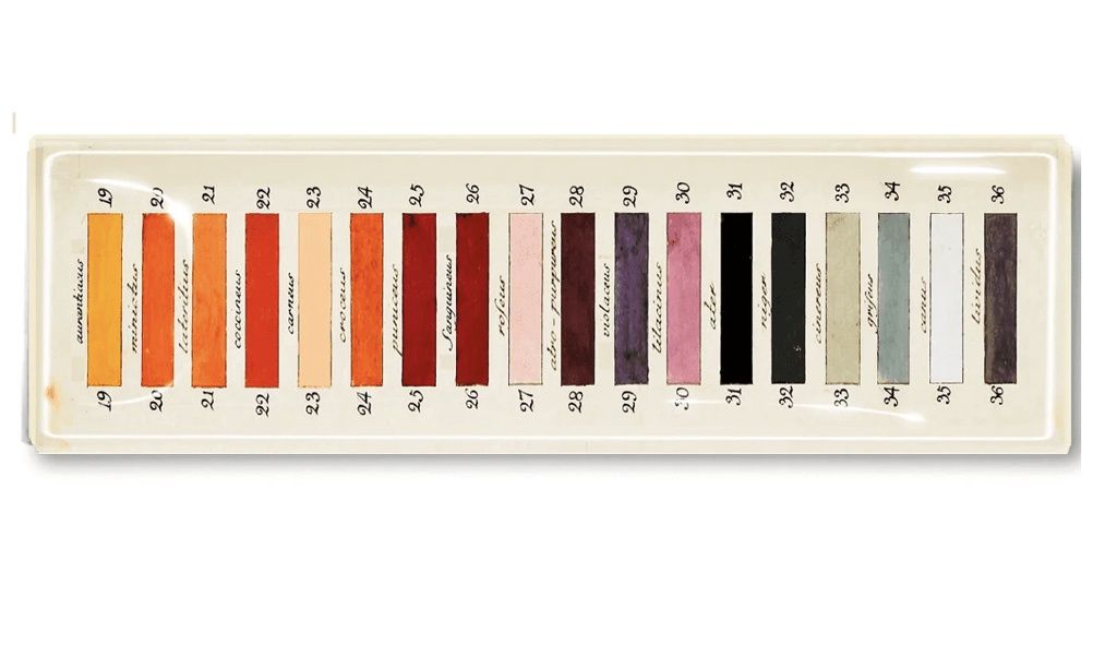 18 Paint Palette Decoupage Glass Tray