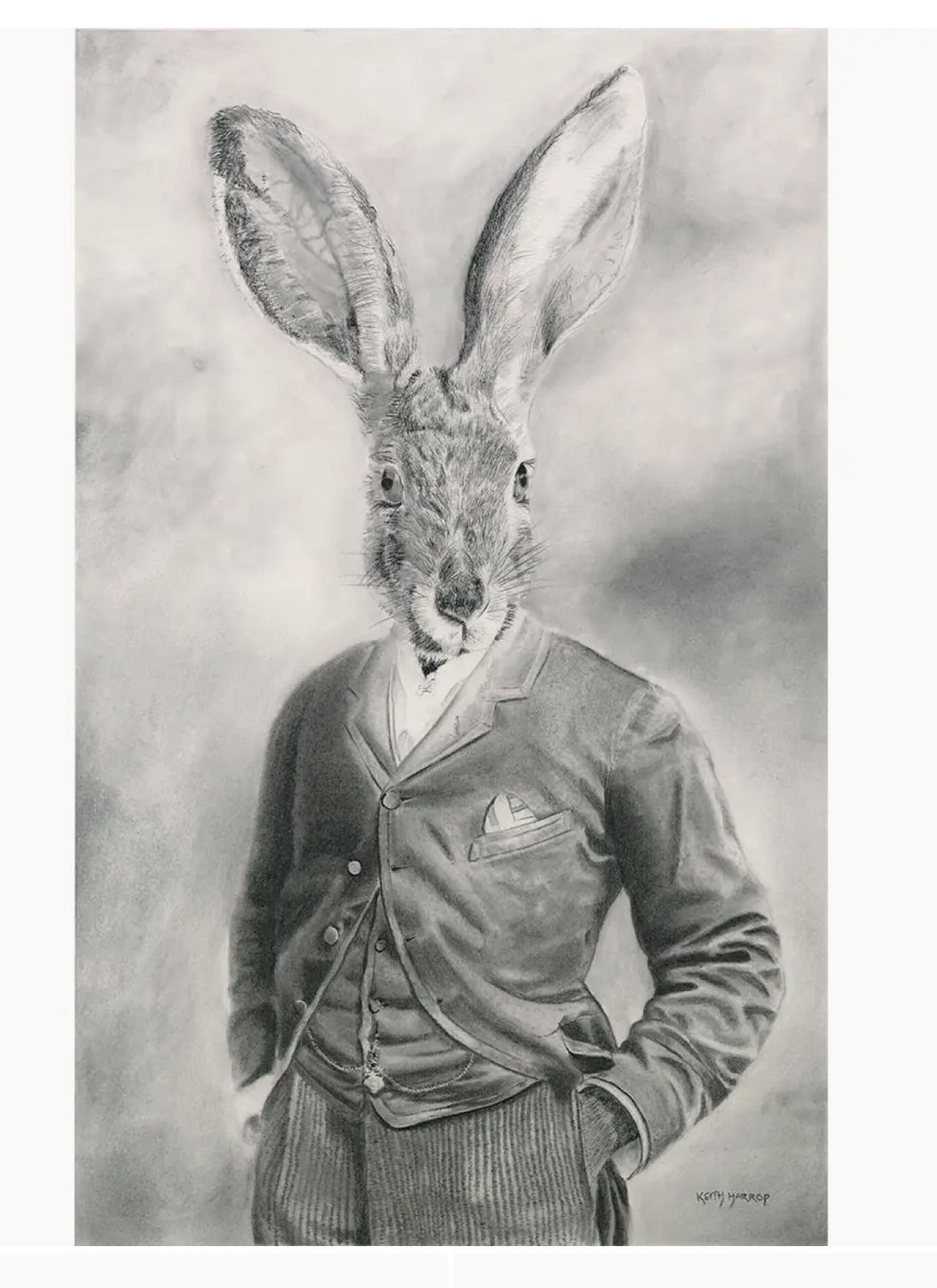 Print (Signed) Hare Pencil Art