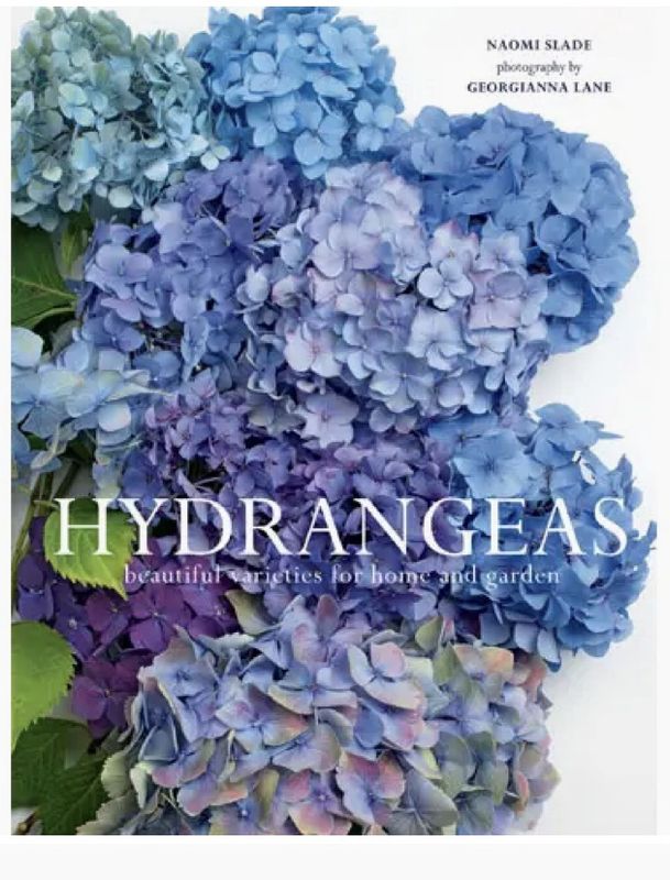 Hydrangeas: Beautiful Varieties For Home & Garden