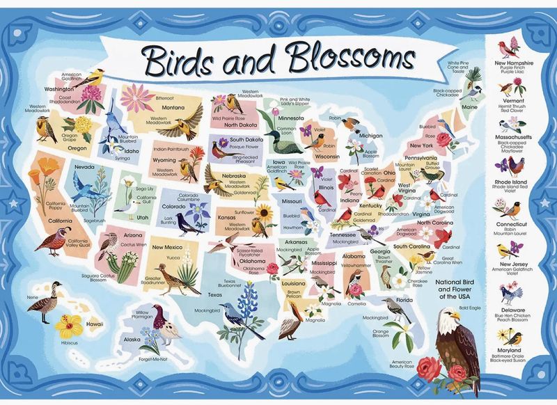American Birds & Blossoms 1000 Puzzle