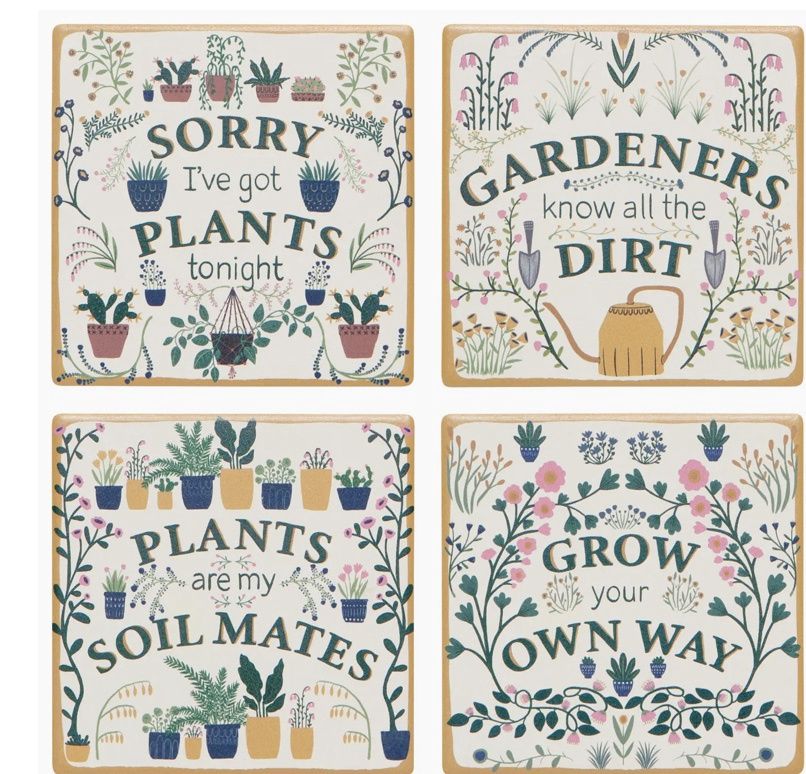 Smarty Pants Soak Up Coaster