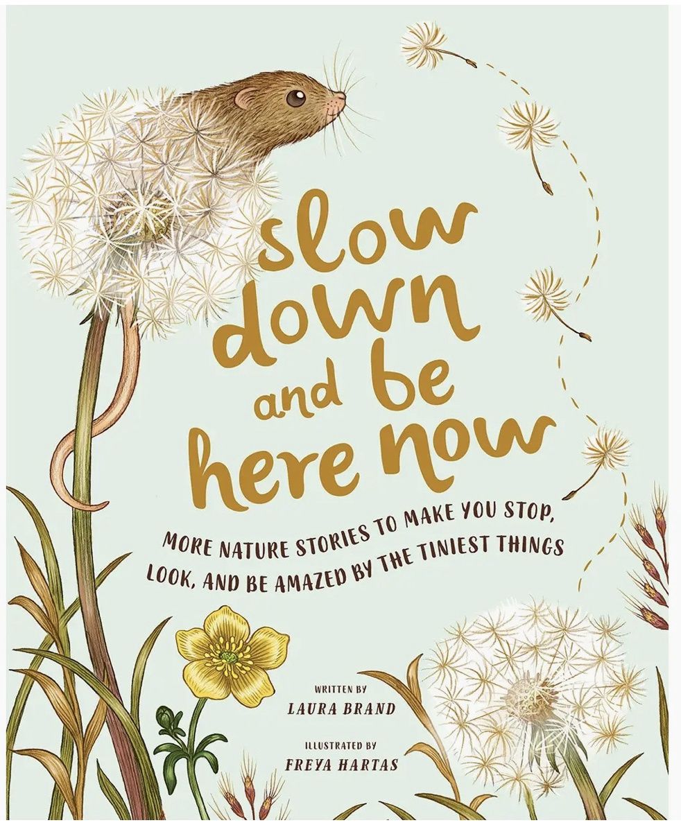 Slow Down and Be Here Now