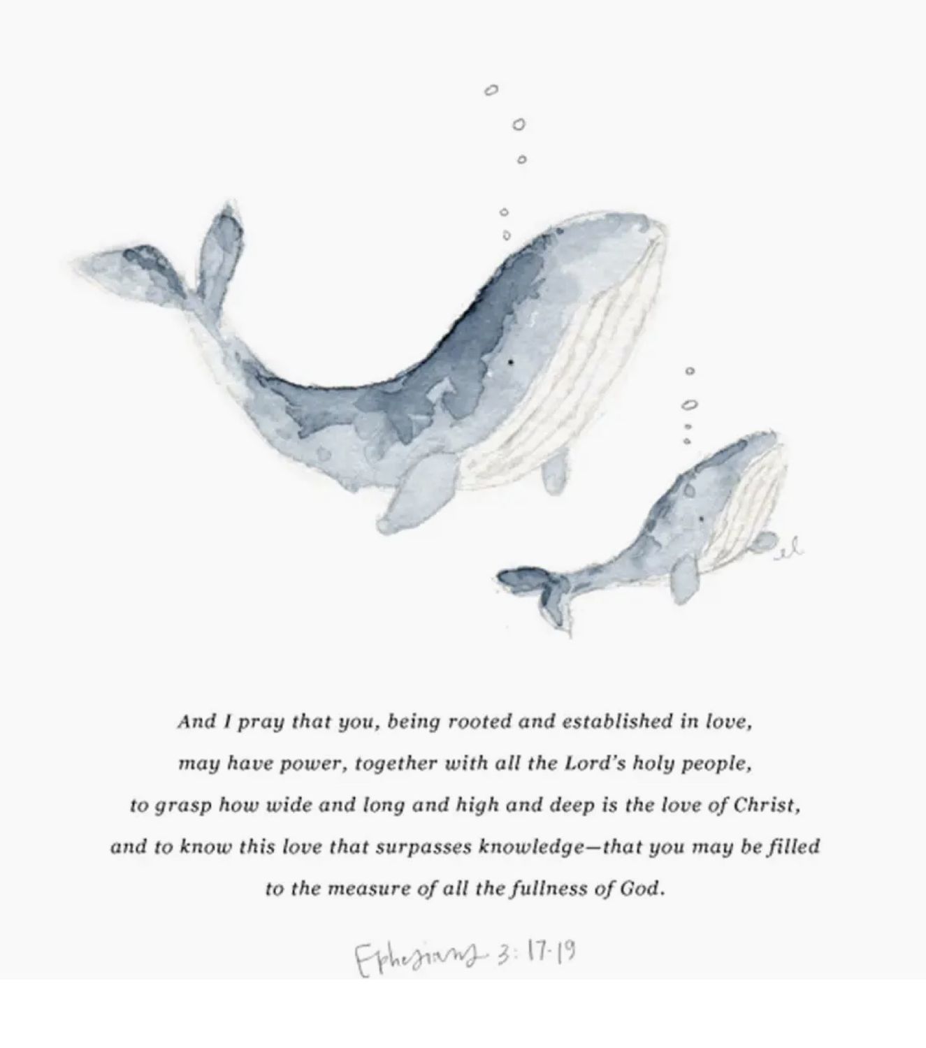 ephesians 3:17-19 mama + baby whale scripture print 11X14