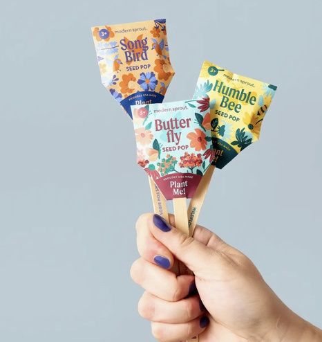 Pollinator Seed Pop - Butterfly