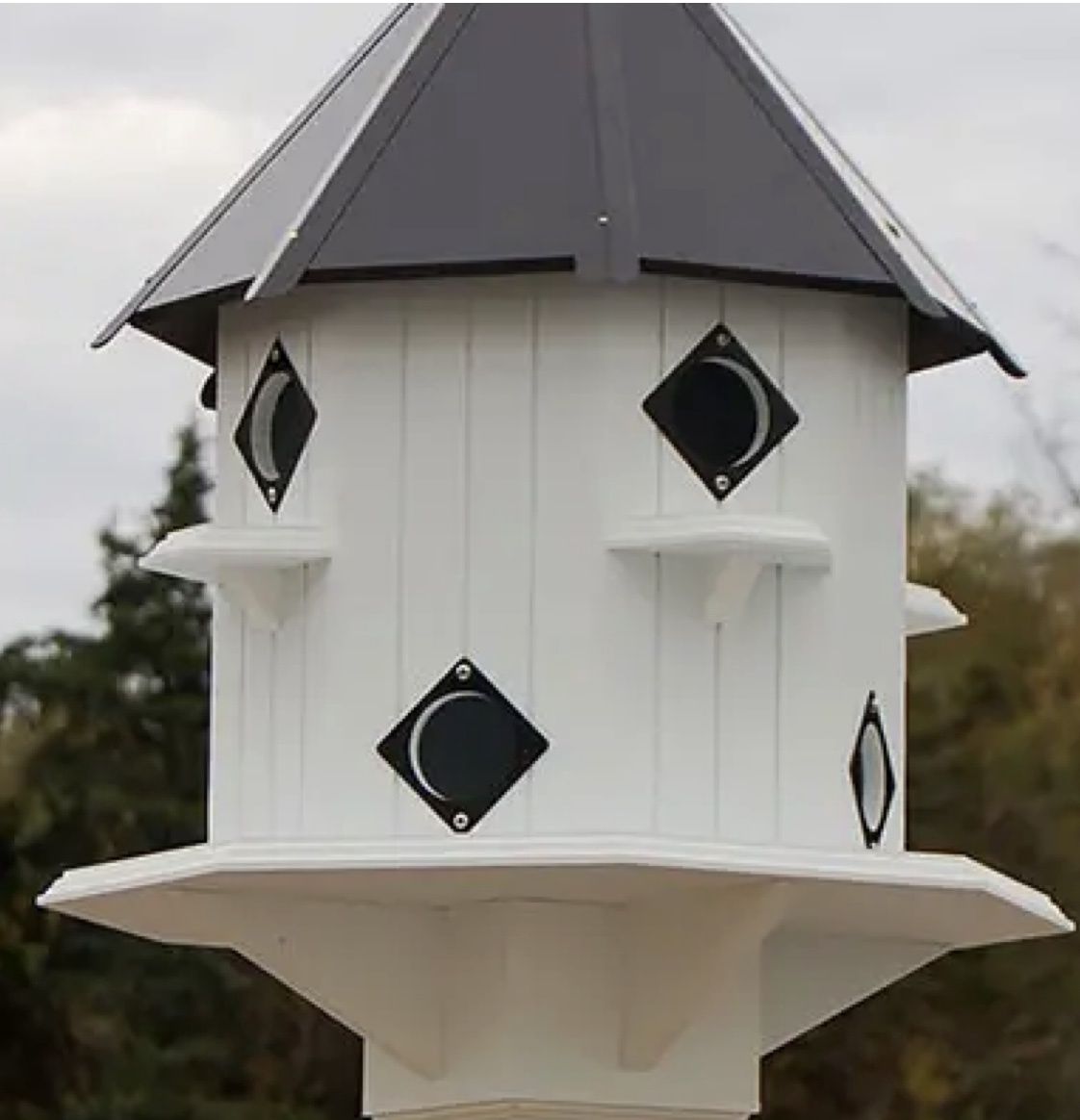 Purple Martin Catle House Black Roof