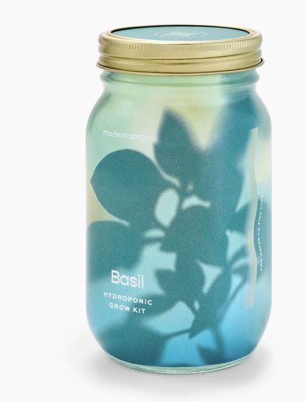 Herb Garden Jar - Basil