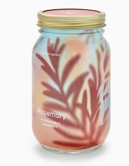 Herb Garden Jar - Rosemary