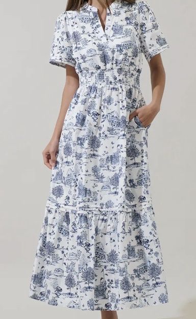 Renzo Toile Poplin Maxi Dress