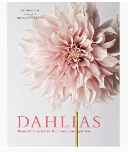 Dahlias; Beautiful Varieties For Home & Garden
