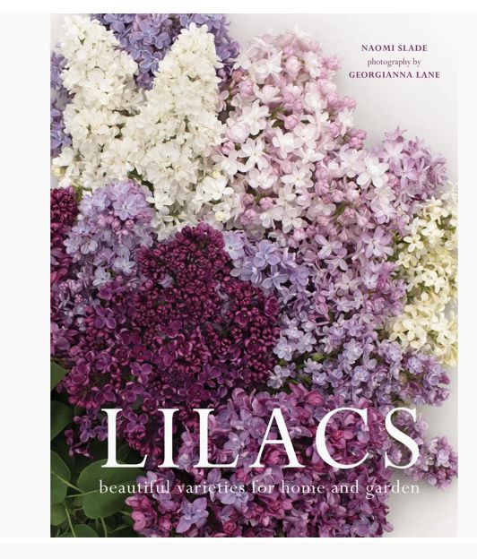 Lilacs: Beautiful Varieties For Home & Garden