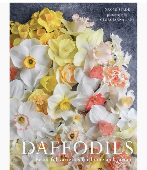 Daffodils: Beautiful Varieties For Home and Garden