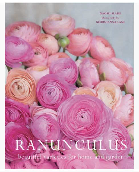 Ranunculus: Beautiful Varieties For Home and Garden