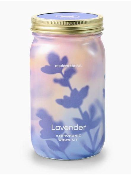 Herb Garden Jar - Lavender