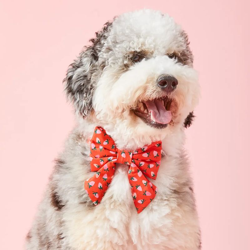 Berry Sweet Lady Dog Bow