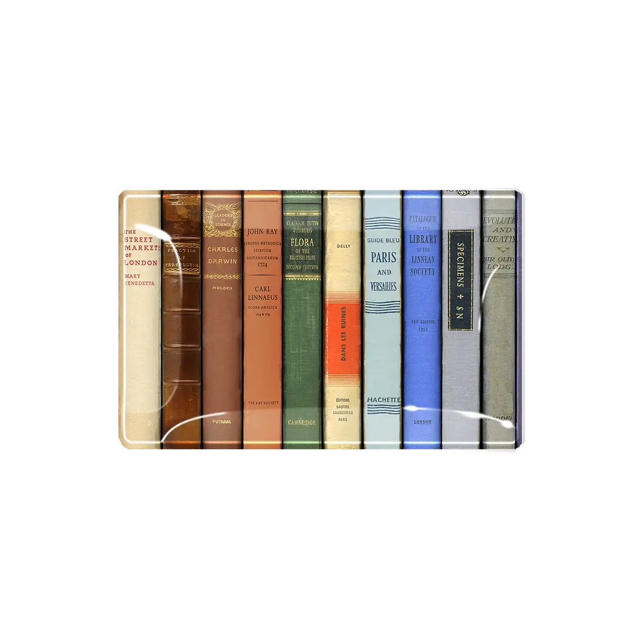 New York Public Library Reserve Decoupage Glass Tray