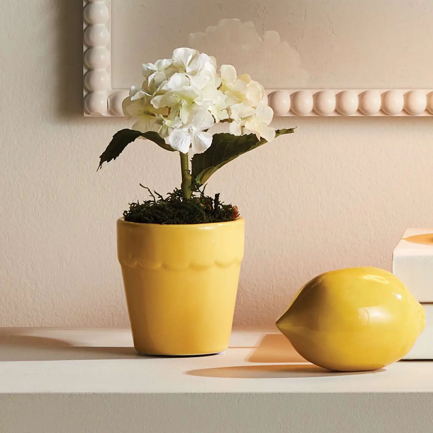 Mirabelle Mini Cachepots S/6
