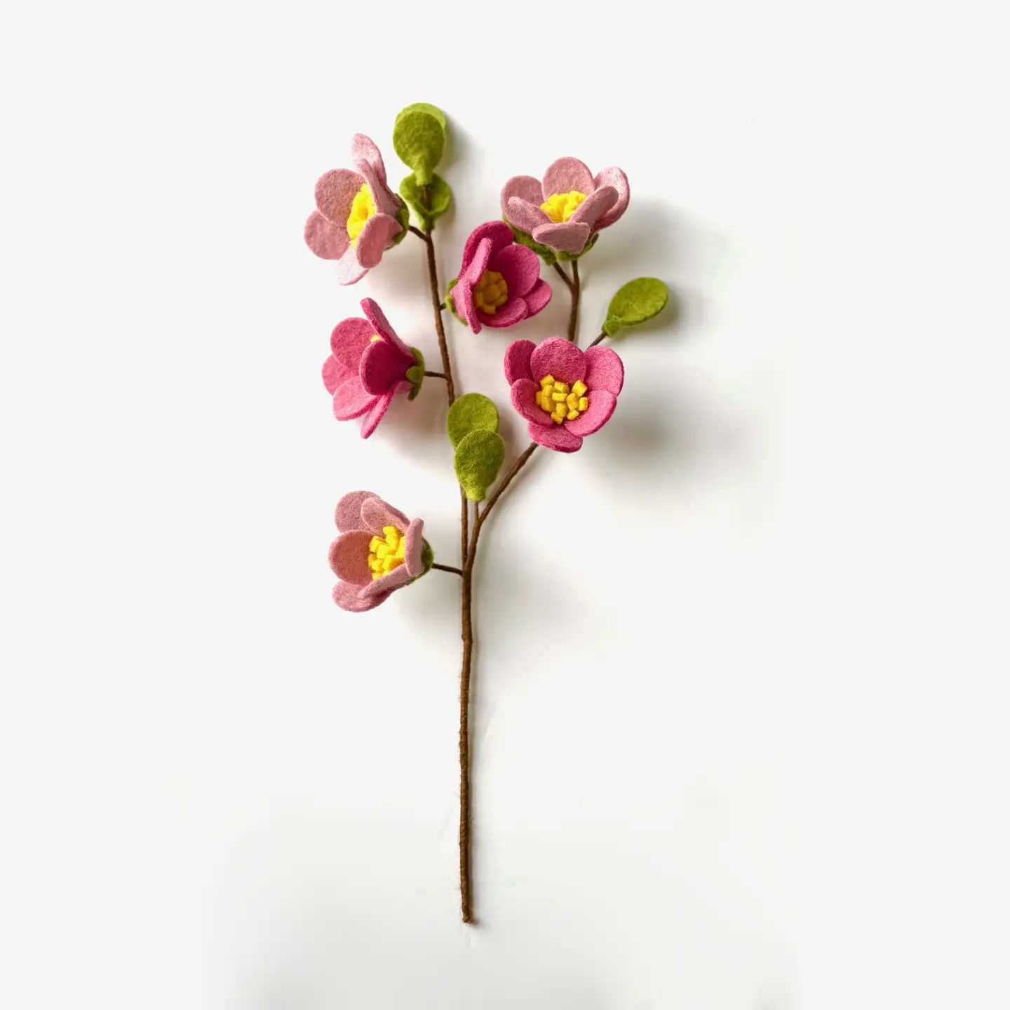 Cherry Blossom Flower Stem