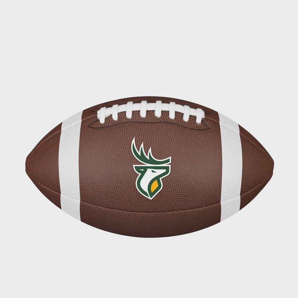 Wilson Edmonton Elks CFL Backyard Football Wilson Edmonton Elks CFL Backyard Football