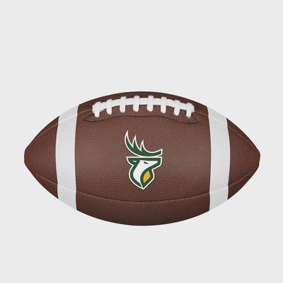 Wilson Edmonton Elks CFL Backyard Football