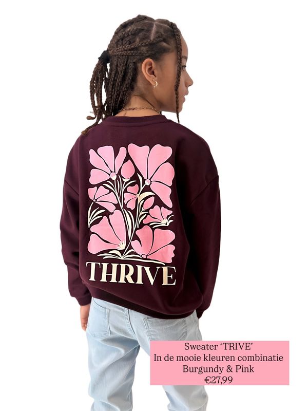 Burgundy sweater Ellie