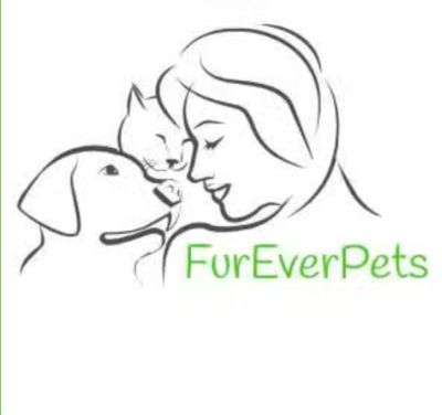 Furevercatz asiel