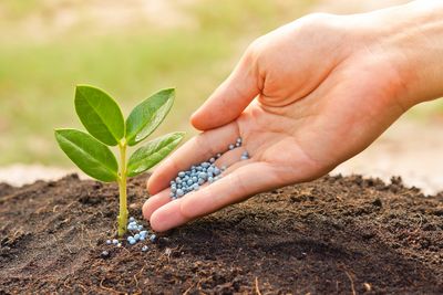 Fertilizantes