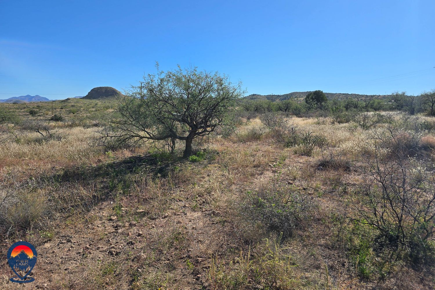 SAN FRANCISCO FALT - SANTA CRUZ, AZ (PROCESSING FEE ONLY)