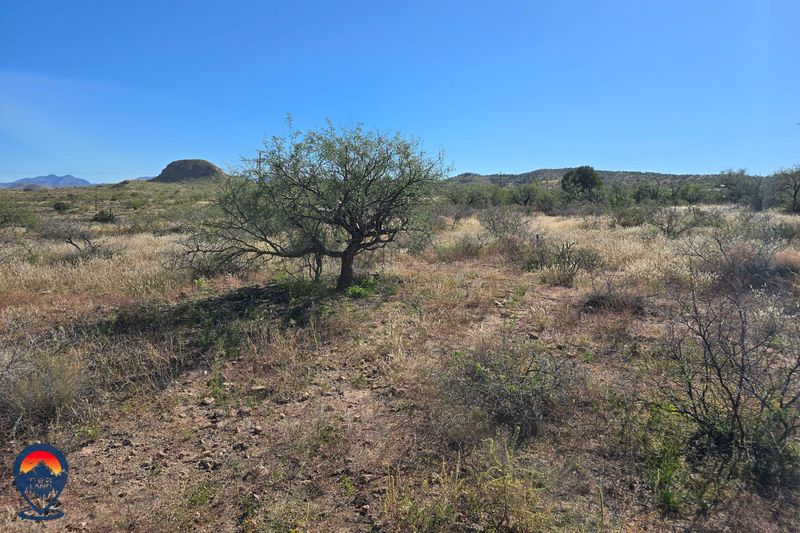 SAN FRANCISCO FALT - SANTA CRUZ, AZ (PROCESSING FEE ONLY)