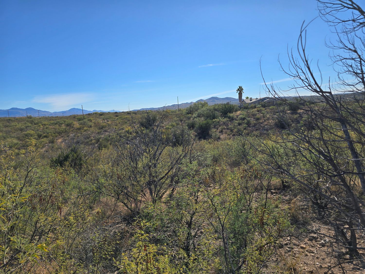 VAQUERO CROSSING - SANTA CRUZ, AZ (PROCESSING FEE ONLY)
