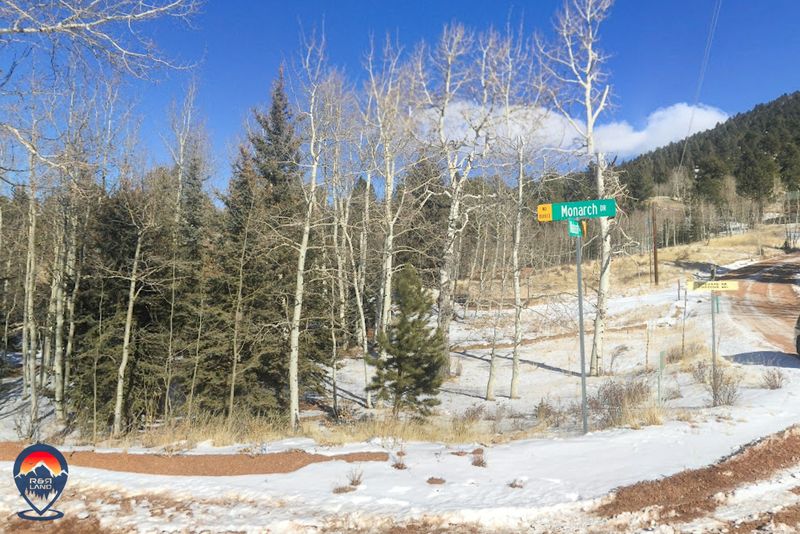 MONARCH VISTA - TELLER COUNTY, CO (PROCESSING FEE ONLY)