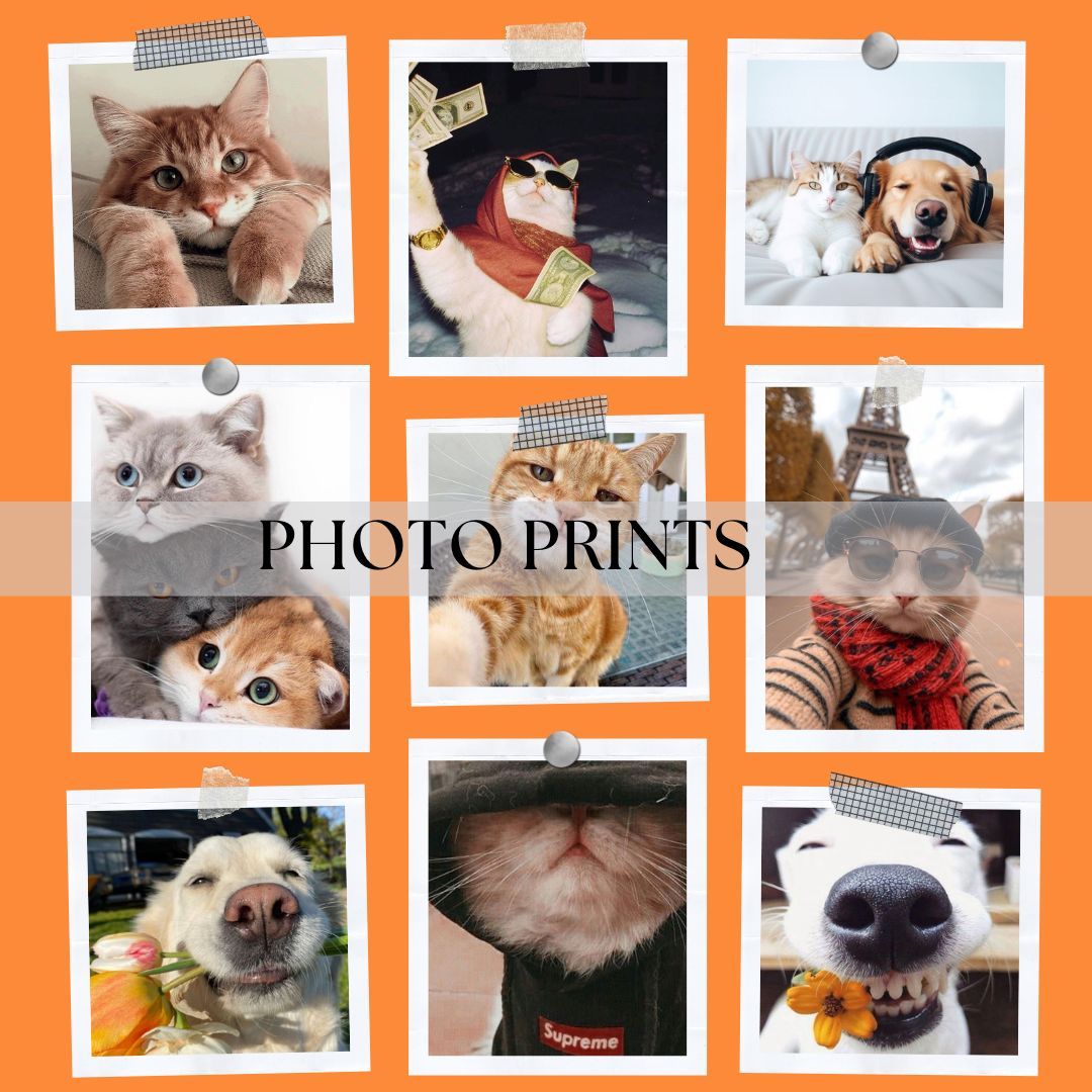 Photo Prints and Instax