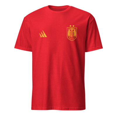 "escudo selección" (prenda a elegir)
