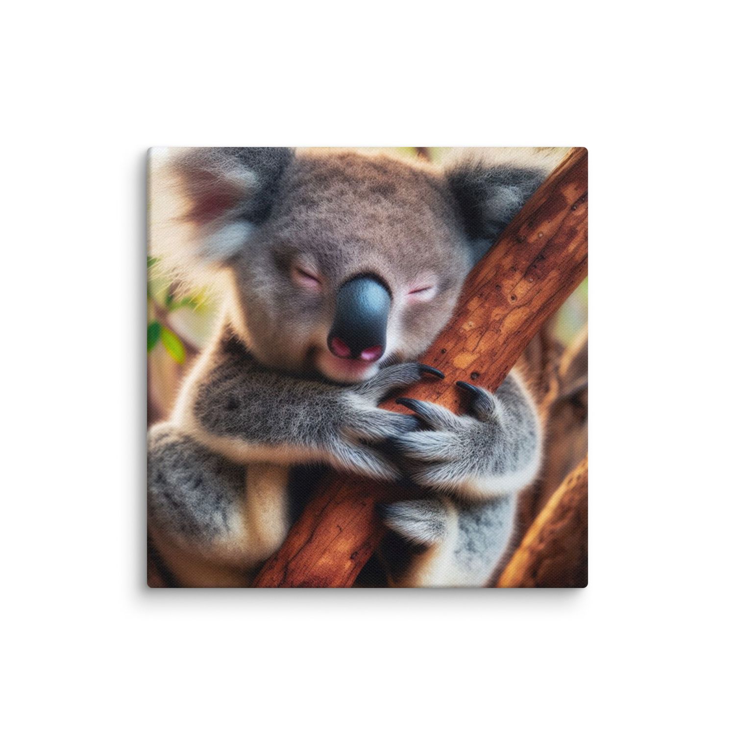 MI Koala on 16” x 16” Canvas