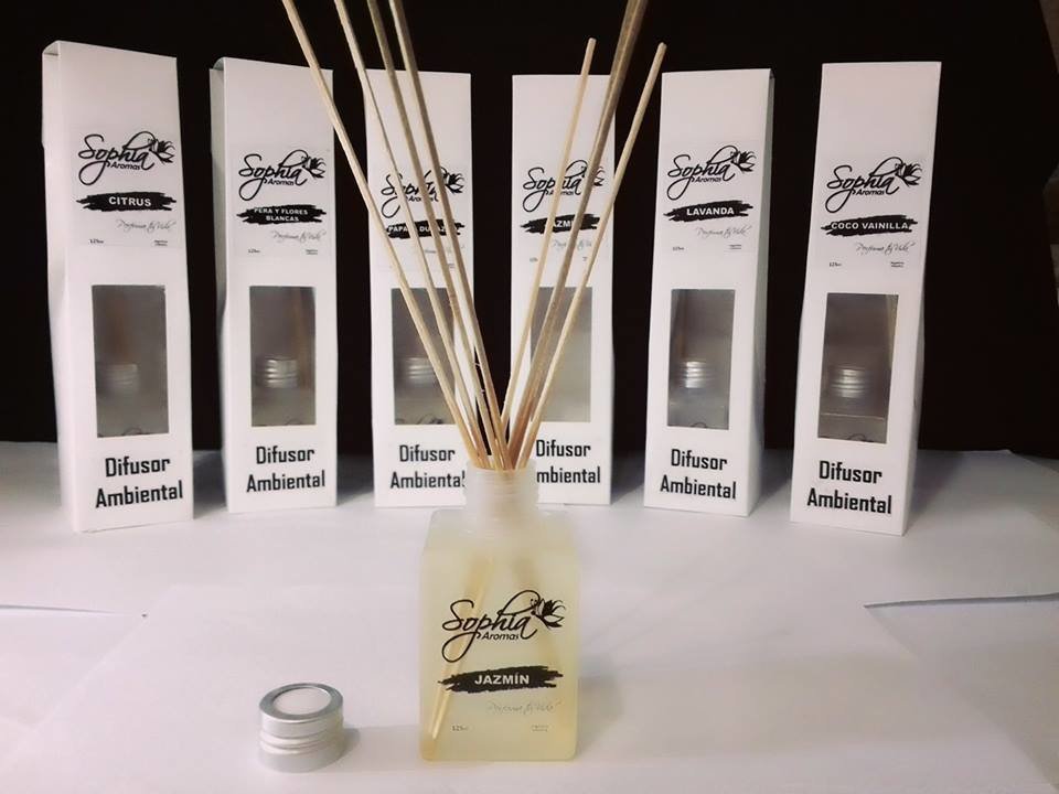 DIFUSOR AMBIENTAL C/ VARILLA DE BAMBU 125ml