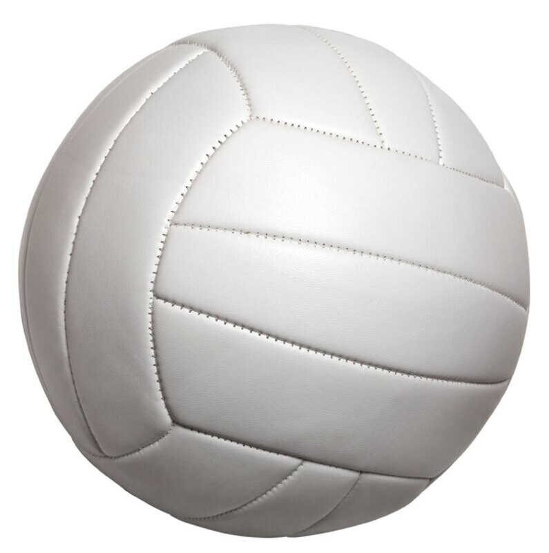 Volleyball Program