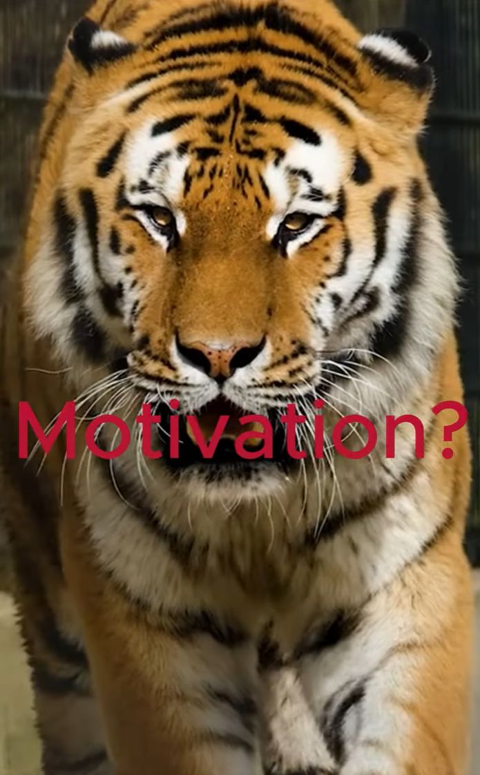 Motivation durch Frequenzen #motivation