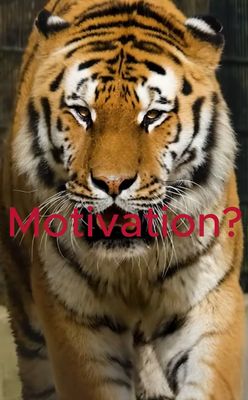 Motivation durch Frequenzen #motivation